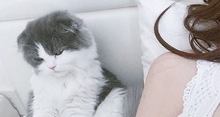 QQ��ͼ20161028213130.png