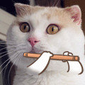 WBN`Z0_QLY9V$GSN0ZZB[1L.jpg