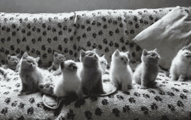 4765b9c7tb053218ec69c&amp;690.gif