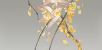 180209zb5z193b1eibk45o.png