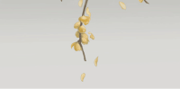 180209ccliilvnjic2lfoc.png