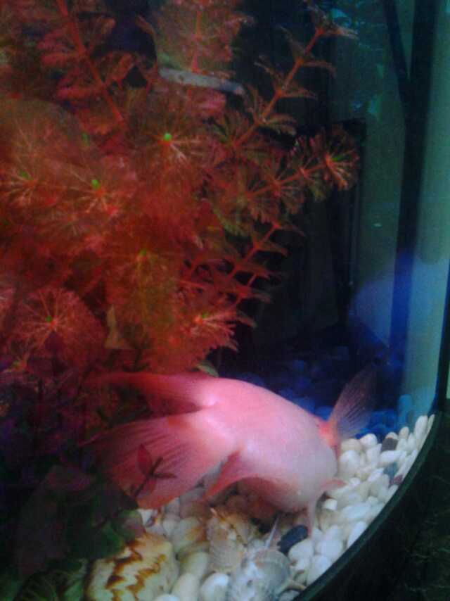 QQͼƬ20170316113458.jpg