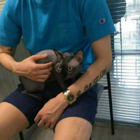 20160720113727_HLZGV_meitu_7.jpg