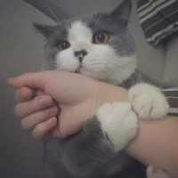 20160704084405_E2ysx_meitu_74.jpg