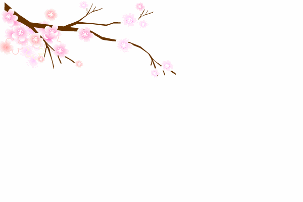 timg.gif