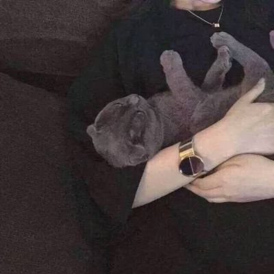 662c3a3f359bd58f!400x400_big.jpg