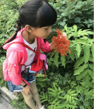 �����й¶���Ц�ݡ��������� - ����С����