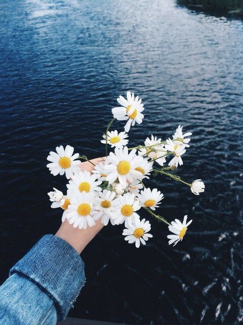 ����ˮ����20�� ���ĸо���ʧ���� <�����ֽ>