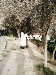 ��С̫������������ - ����ɹ����