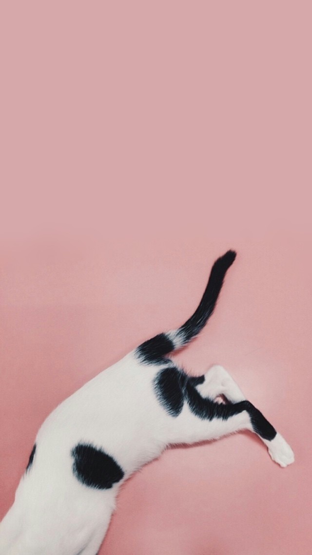 �������˹�����ղ���ͼ��ϵ��<�ֻ���ֽ>
