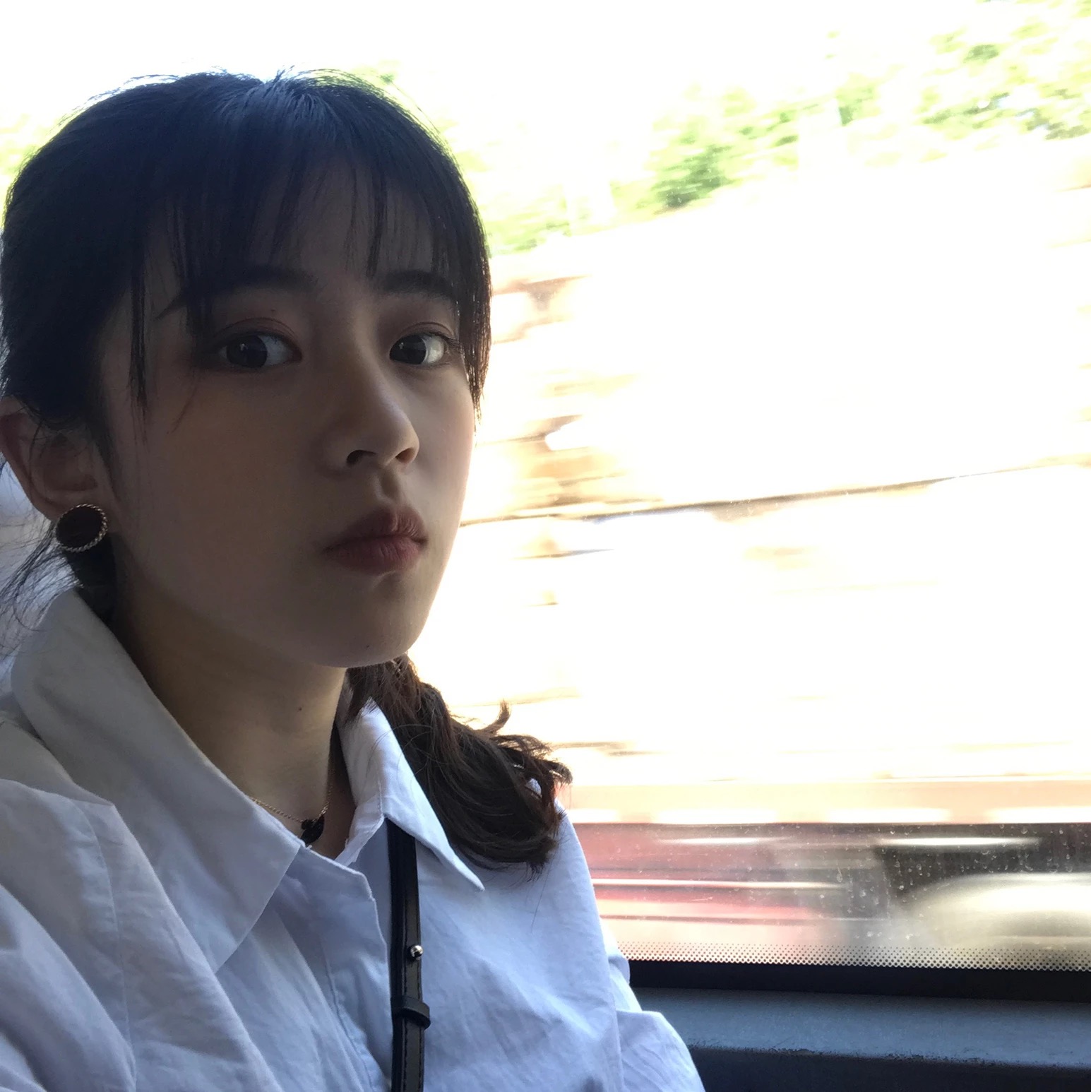 Ҷ���ԣ��������ֶ��� �����Բ����в����顣�Խ���ͼ