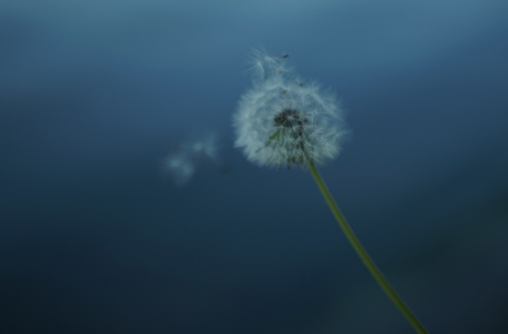 ��grass��:����֪����<�Բ�ͼ>
