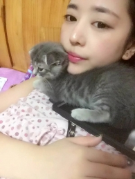 ��QQmcc-���á��������� - �������� �������� ��������