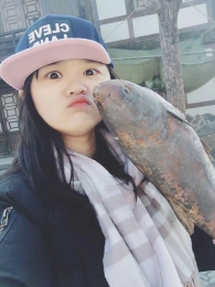 ���ﰲ���������� - ������һ�����޴Ӽ��ӵķ羰����ʼ�����ᡣ