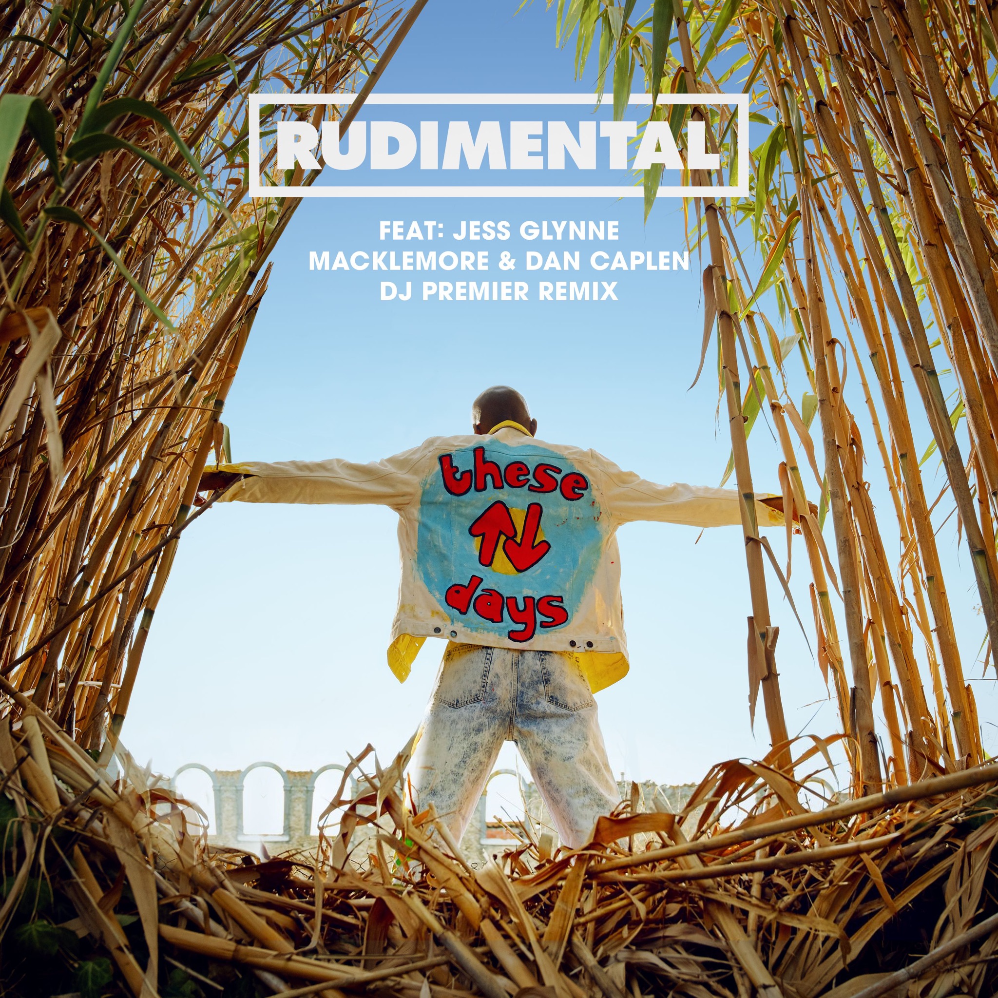 ��Thrift Shop��- Macklemore & Ryan Lewis ˵��